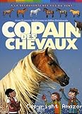 Copain des chevaux