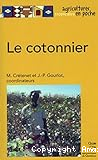 Le cotonnier