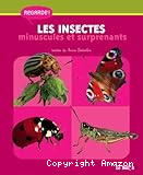 Les insectes minuscules et surprenants