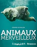 Animaux merveilleux