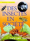 Des insectes en société