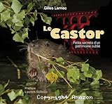 Le castor