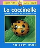 La coccinelle